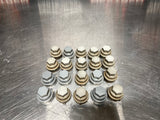 97-04 C5 CORVETTE LUG NUT COVERS SET OF 20 OEM #708