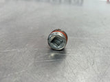 97-04 C5 CORVETTE T56 TRANSMISSION DRAIN PLUG OEM #VV1146