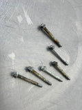 97-04 C5 WATER PUMP BOLTS OEM
