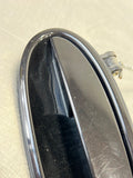 97 - 04 C5 CORVETTE PASSENGER RH DOOR HANDLE OEM BLACK with PURPLE FLAKE #158
